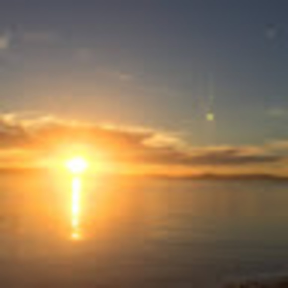 Meet your Posher, Michelle - Picture 1 of 1